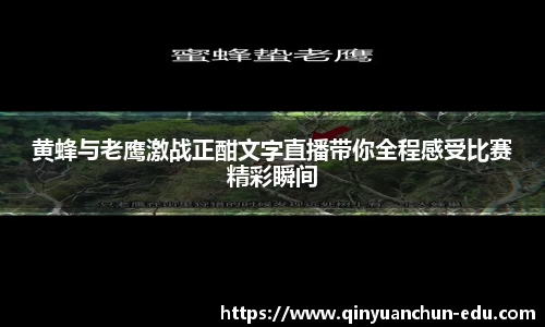 PA视讯官网
