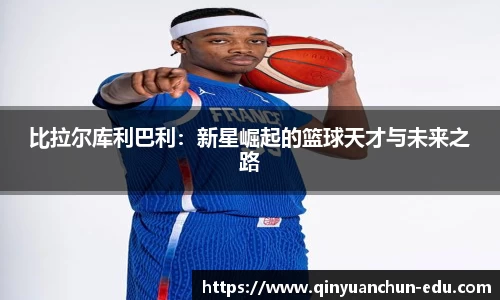 PA视讯平台