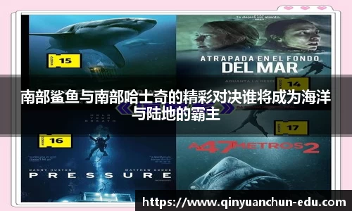 PA视讯官网